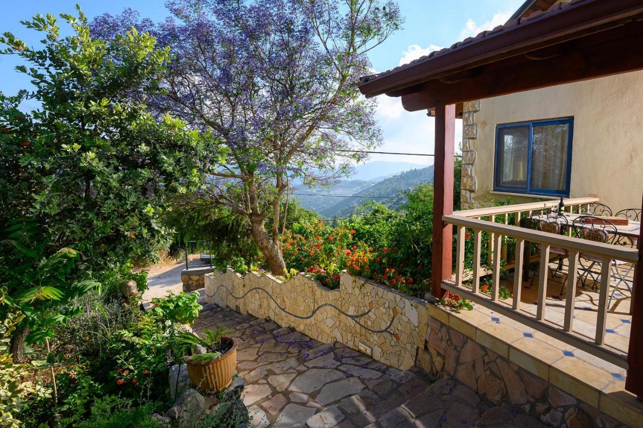 Dream Time Villa Amirim Exterior photo